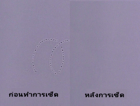 ป้องกันสิ่งสกปรกด้วยพื้นฐานของสีน้ำมัน