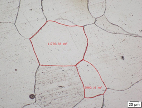 Sau khi ủ từ tính (×1000)